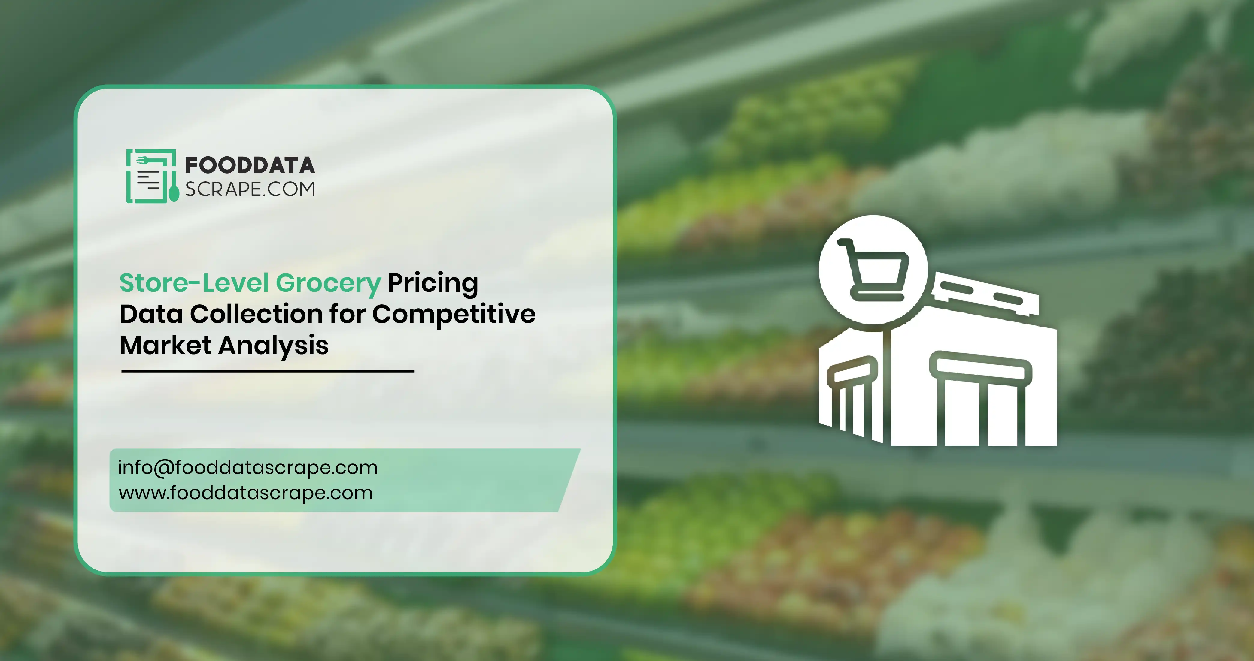 Store-Level Grocery Pricing Data Collection for Competitive Market Analysis